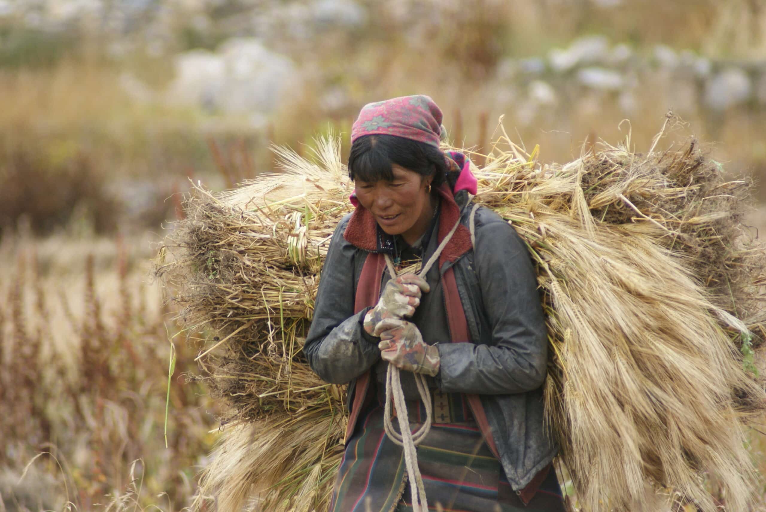 DOLPO